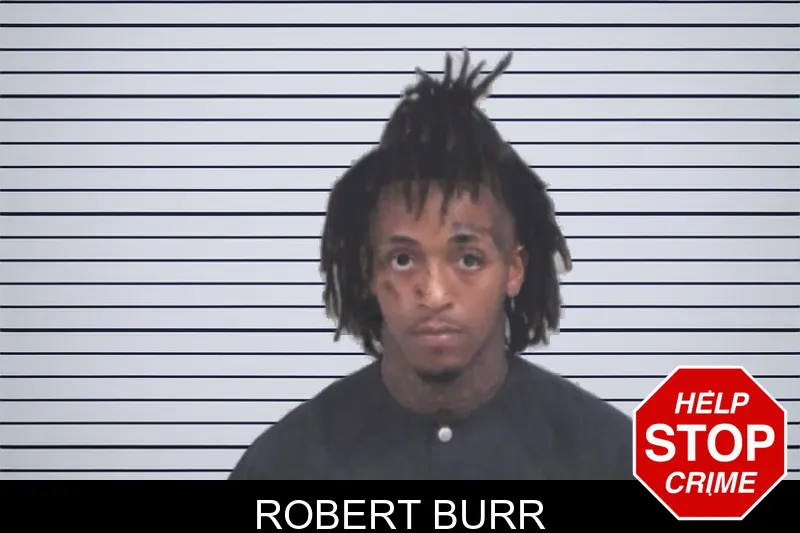 Robert Burr mugshot