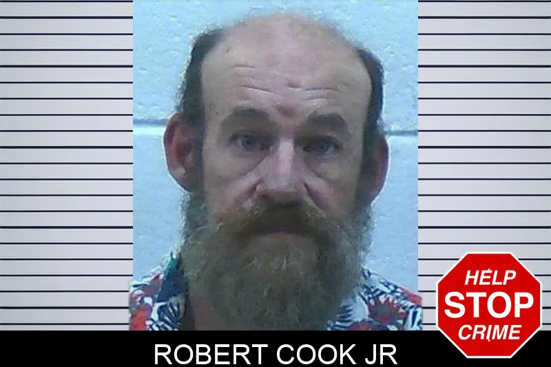 Robert Cook Jr mugshot