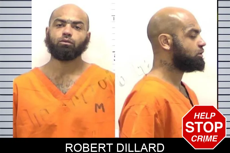 Robert Dillard mugshot