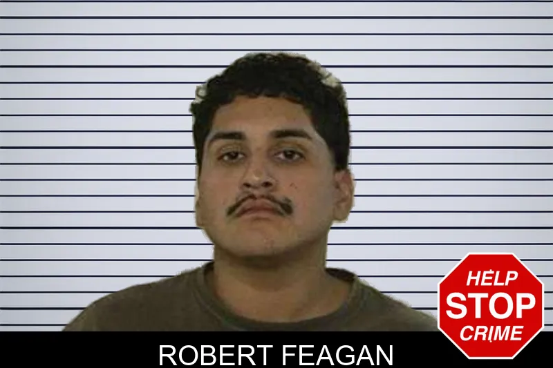 Robert Feagan mugshot