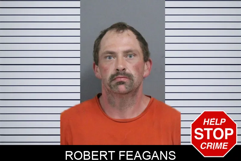 Robert Feagans mugshot