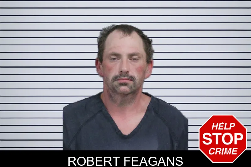 Robert Feagans mugshot