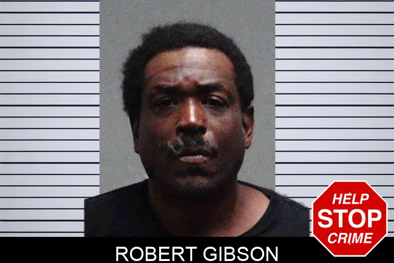 Robert Gibson mugshot