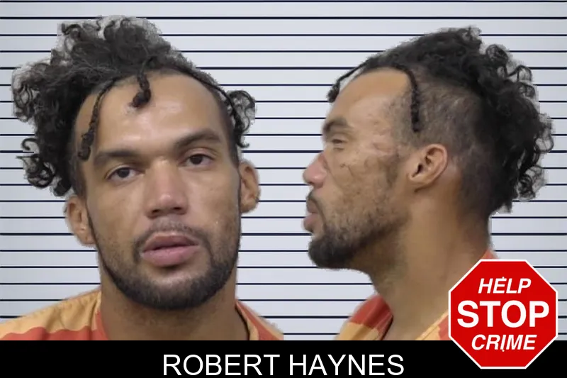 Robert Haynes mugshot