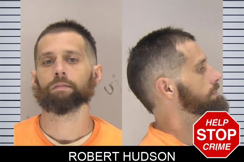 Robert Hudson mugshot