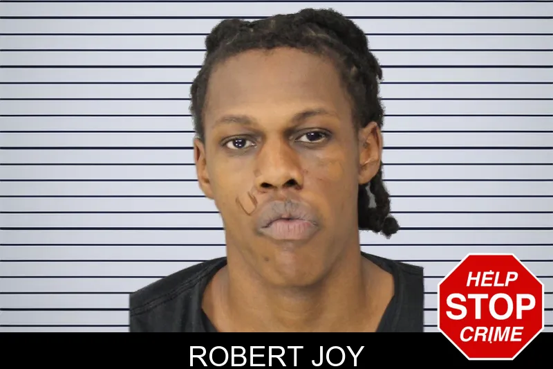 Robert Joy mugshot