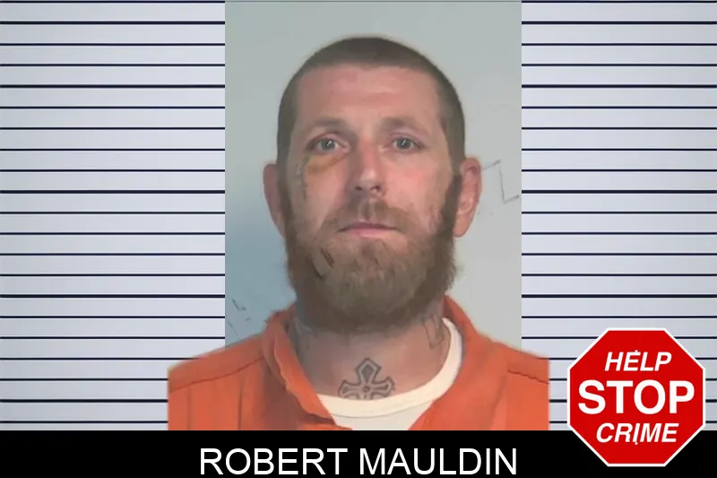 Robert Mauldin mugshot