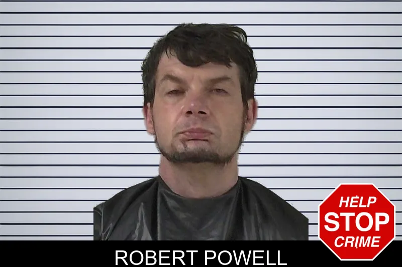 Robert Powell mugshot