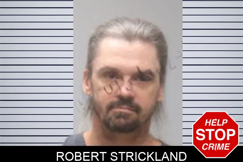 Robert Strickland mugshot