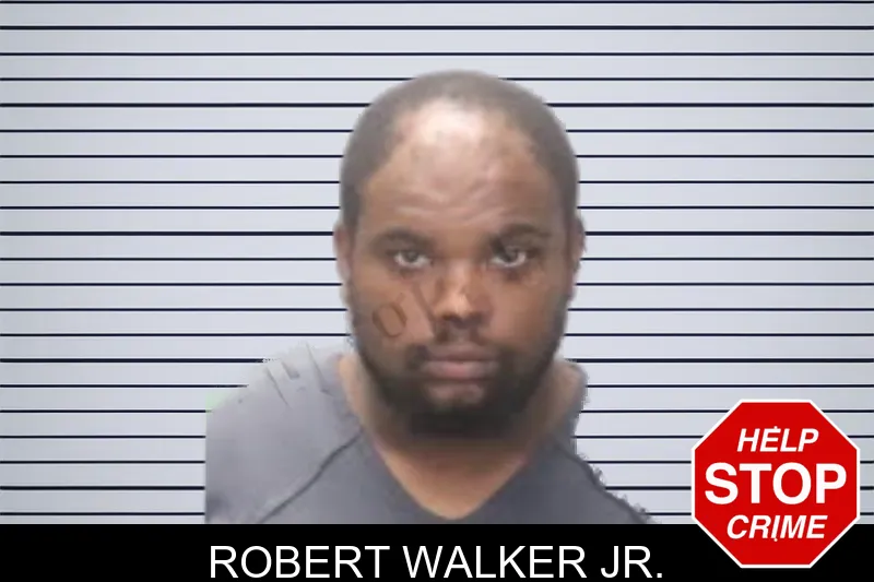 Robert Walker Jr. mugshot