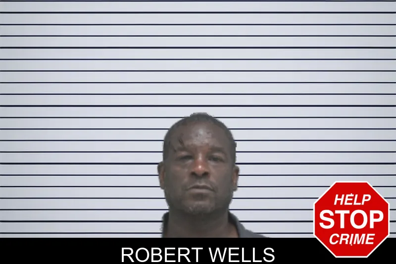 Robert Wells mugshot