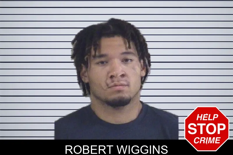 Robert Wiggins mugshot