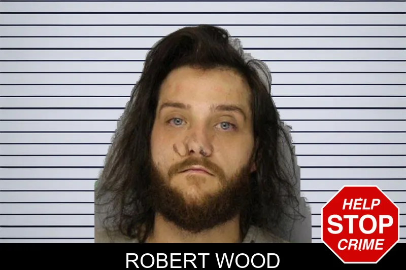 Robert Wood mugshot