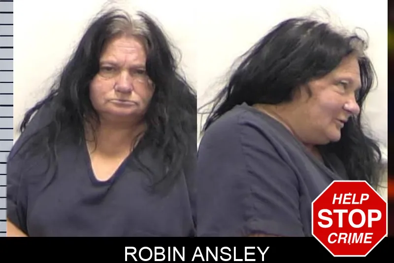 Robin Ansley mugshot