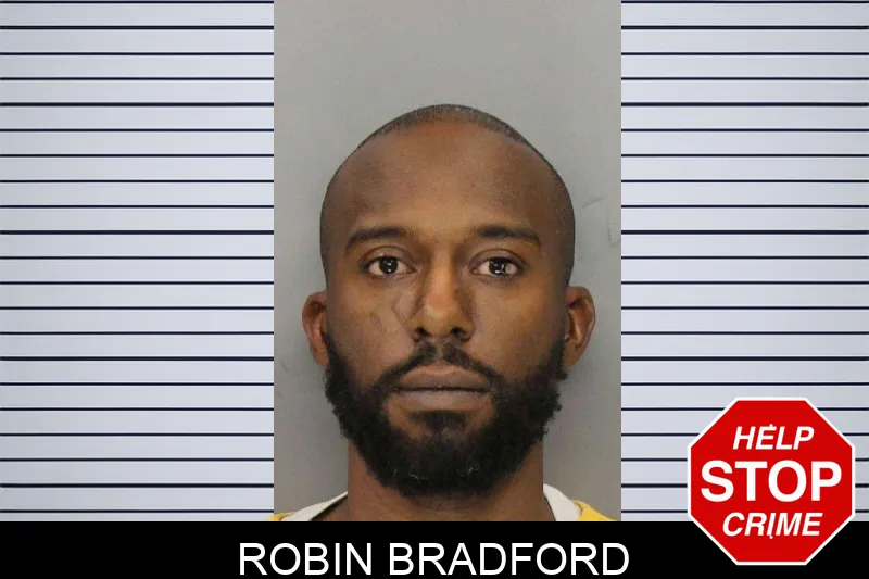 Robin Bradford mugshot