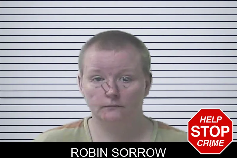 Robin Sorrow mugshot