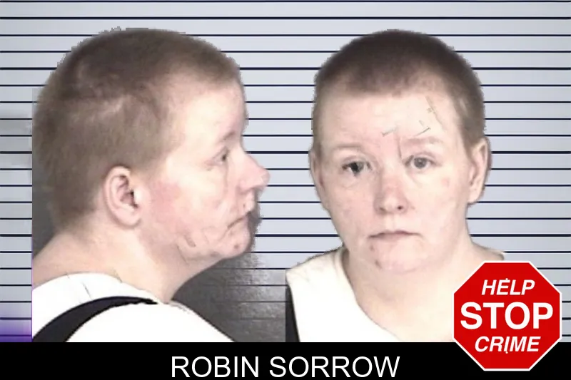 Robin Sorrow mugshot