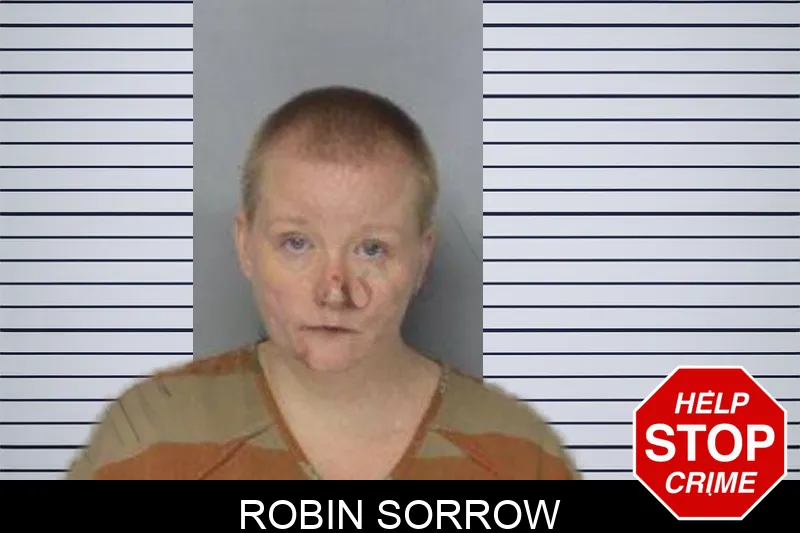 Robin Sorrow mugshot