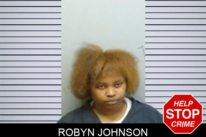 Robyn Johnson mugshot