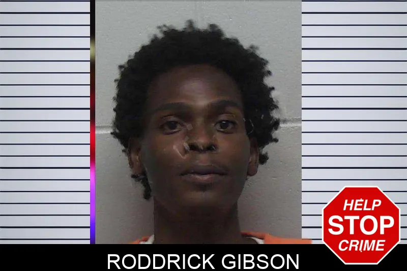 Roddrick Gibson mugshot