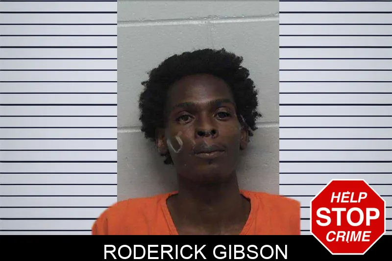 Roderick Gibson mugshot