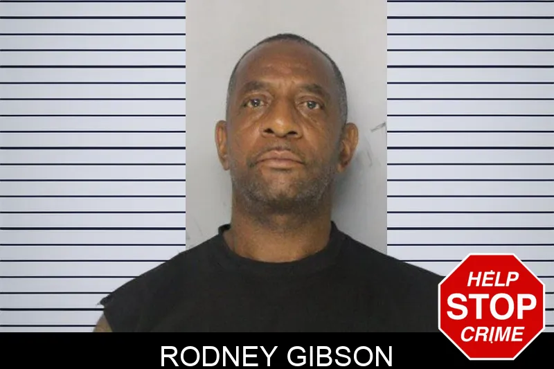 Rodney Gibson mugshot – Hall County , Georgia Rodney Gibson mugshot