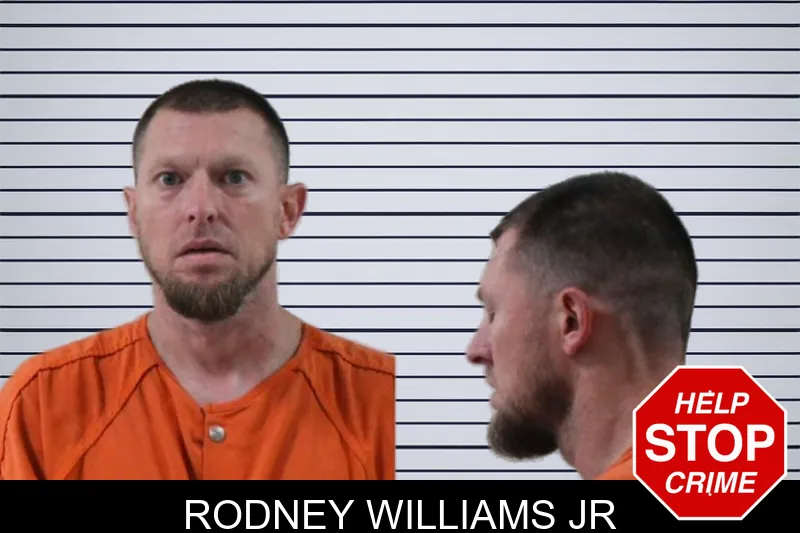 Rodney Williams Jr mugshot – Houston County , Georgia Rodney Williams Jr mugshot