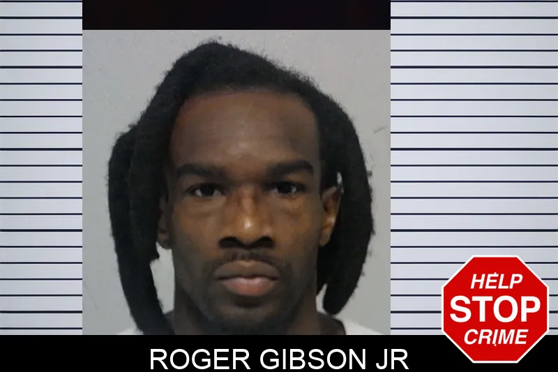 Roger Gibson Jr mugshot