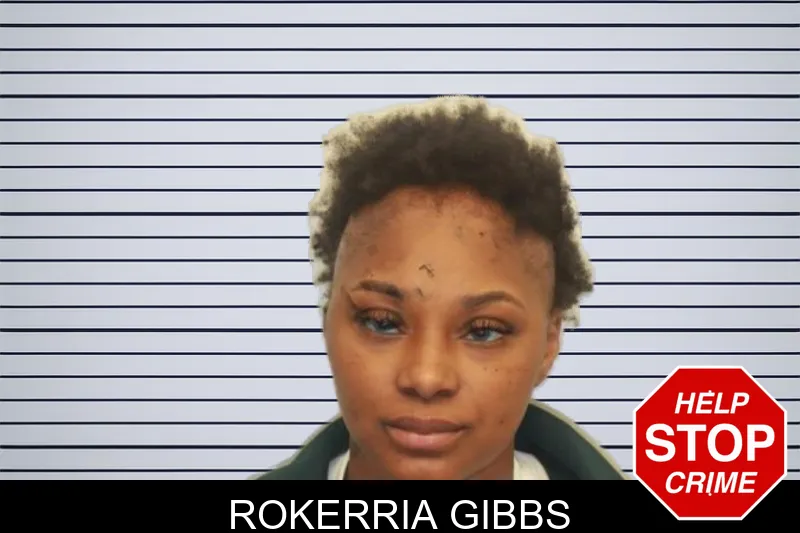 Rokerria Gibbs mugshot