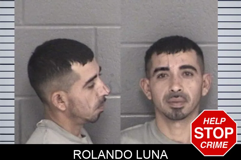 Rolando Luna mugshot