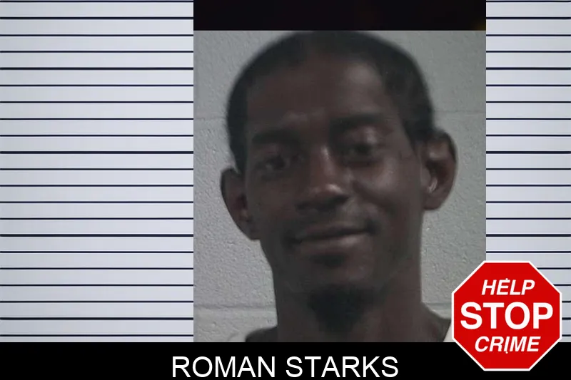 Roman Starks mugshot