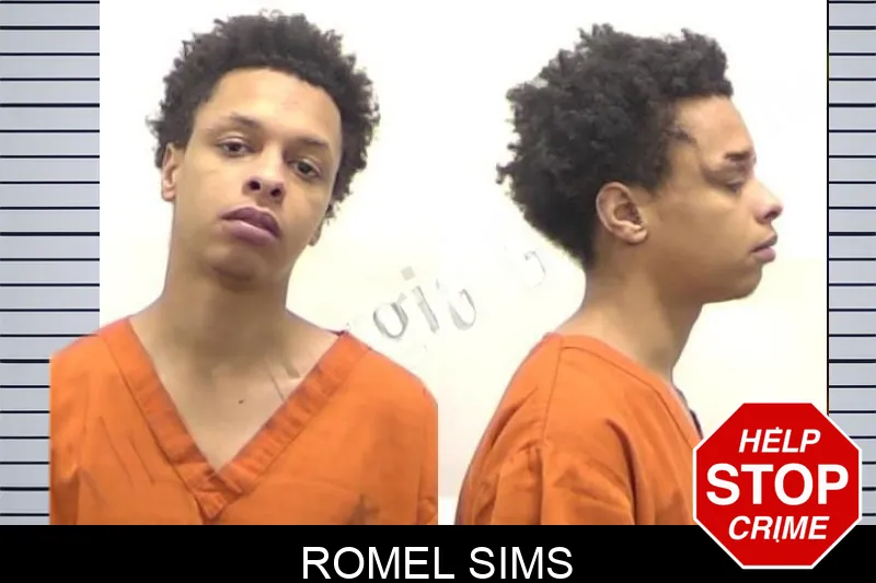 Romel Sims mugshot