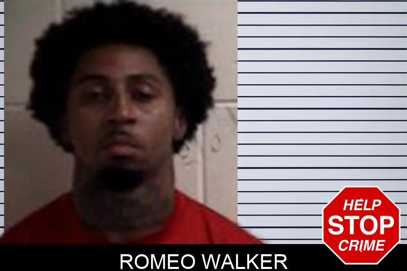 Romeo Walker mugshot