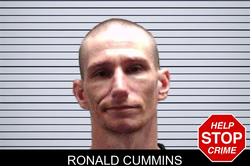 Ronald Cummins mugshot
