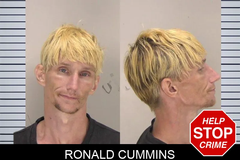 Ronald Cummins mugshot