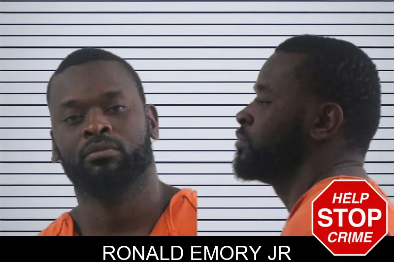 Ronald Emory Jr mugshot