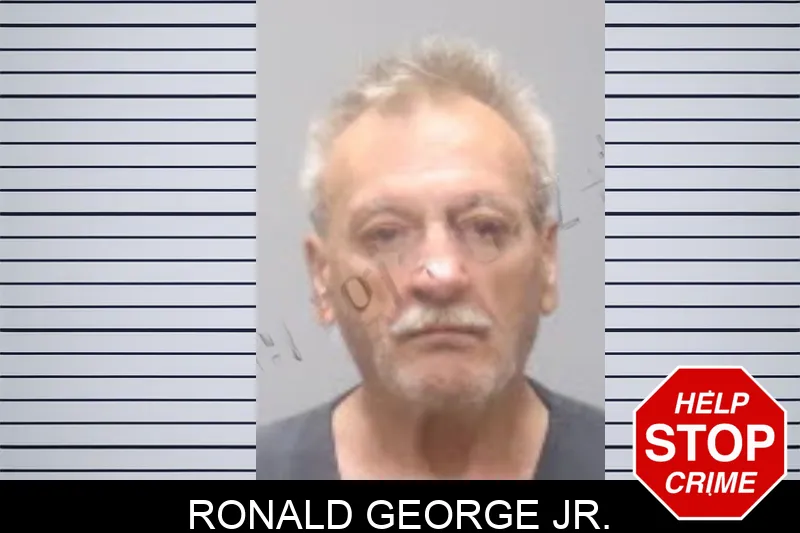 Ronald George Jr. mugshot