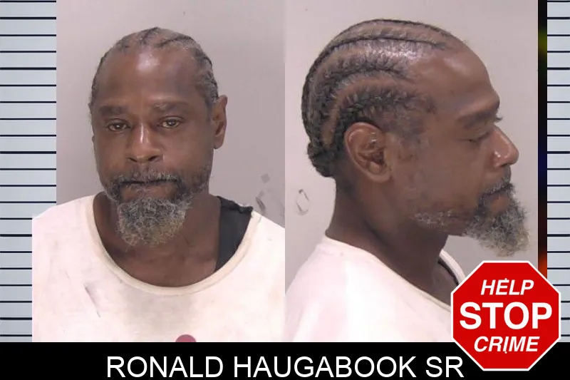 Ronald Haugabook Sr mugshot