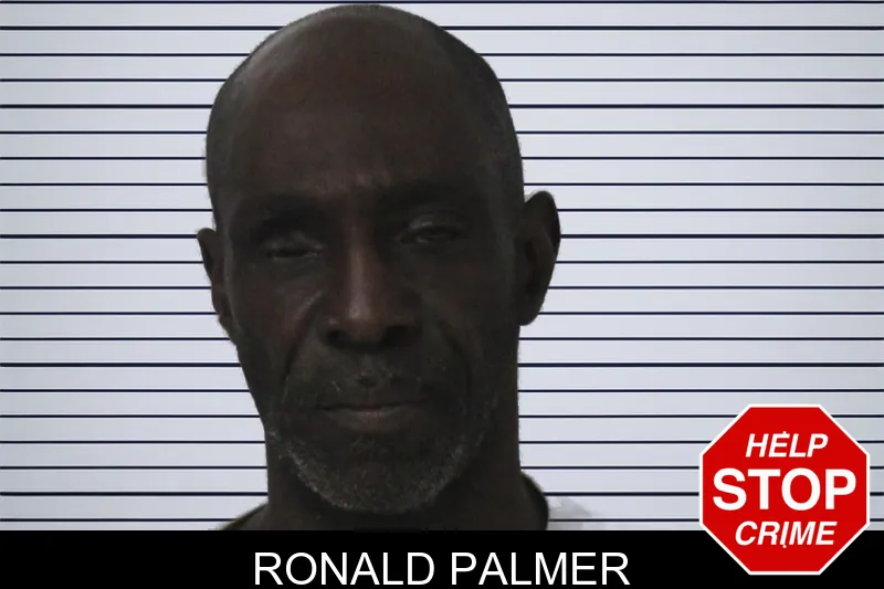 Ronald Palmer mugshot
