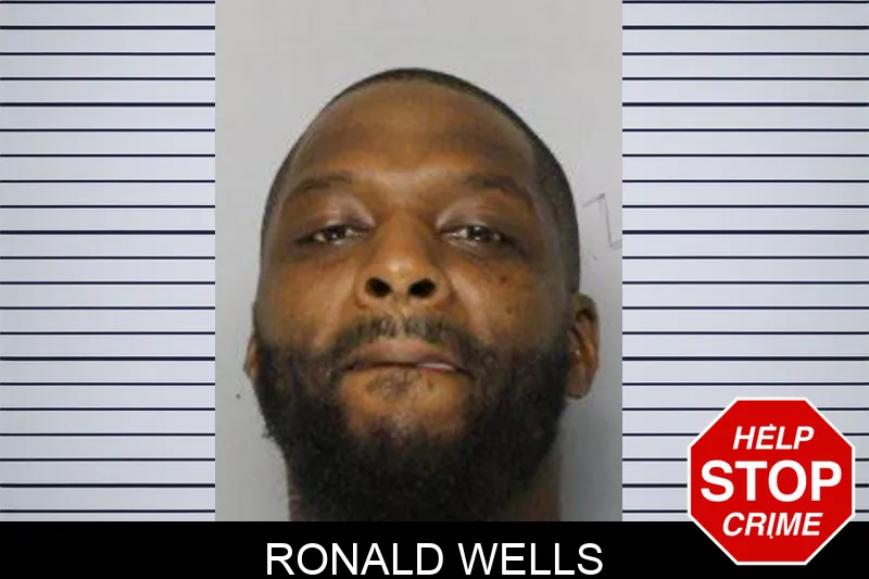 Ronald Wells mugshot