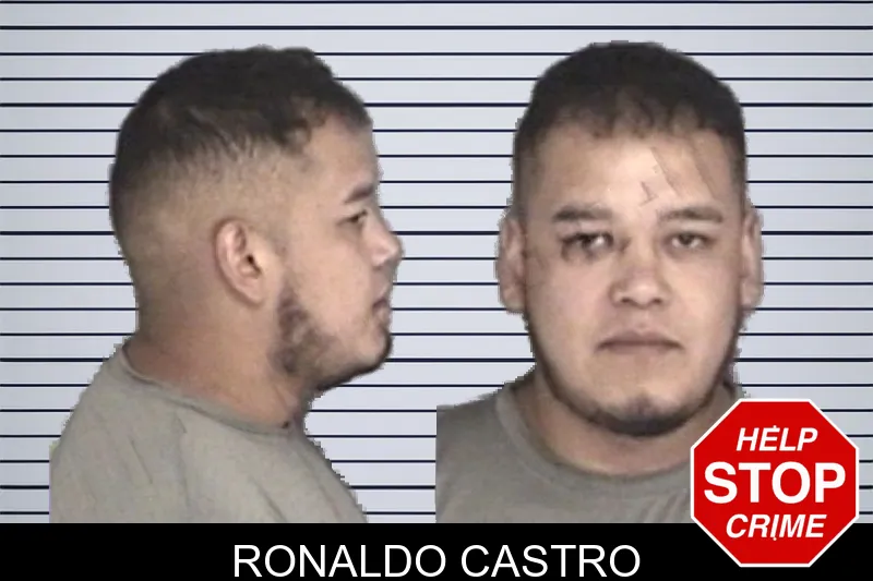 Ronaldo Castro mugshot