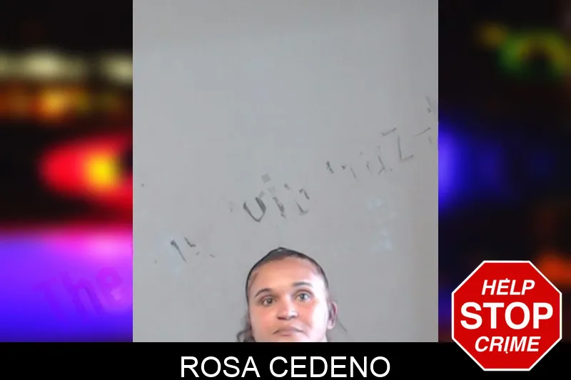 Rosa Cedeno mugshot