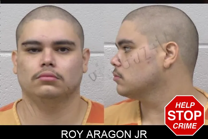 Roy Aragon Jr mugshot