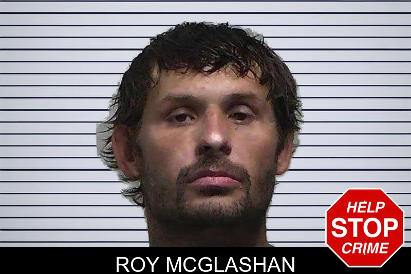 Roy McGlashan mugshot