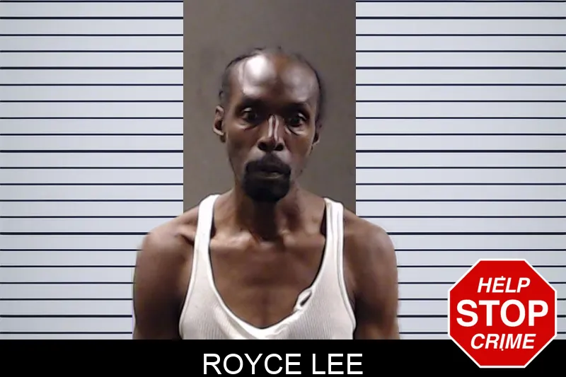 Royce Lee mugshot