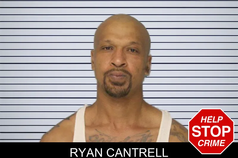 Ryan Cantrell mugshot – Hall County , Georgia Ryan Cantrell mugshot