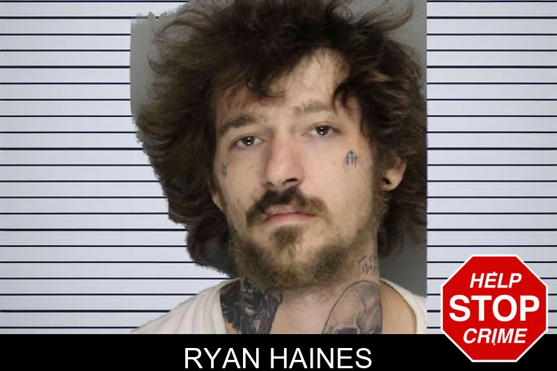 Ryan Haines mugshot