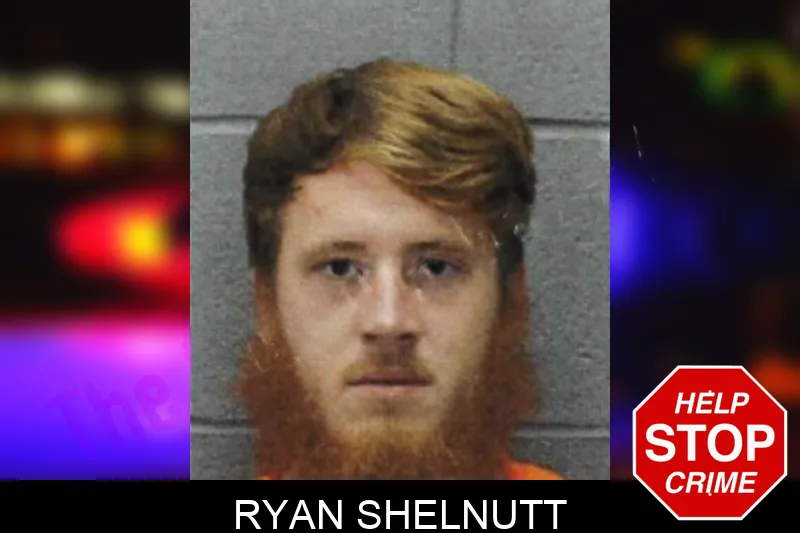 Ryan Shelnutt mugshot