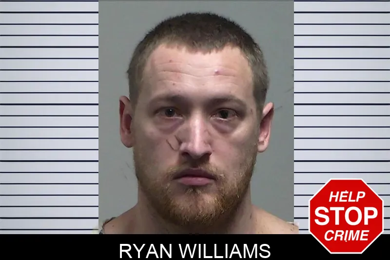Ryan Williams mugshot
