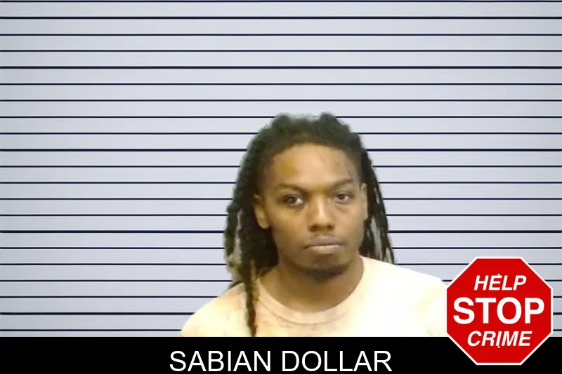 Sabian Dollar mugshot